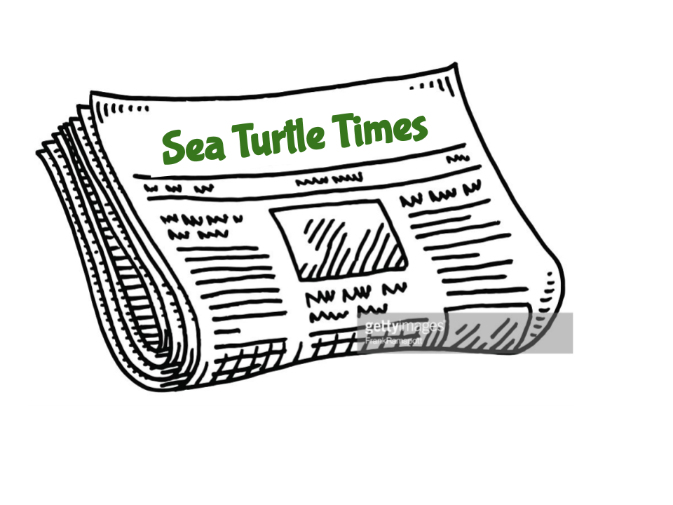 Turtle reading a newspaper